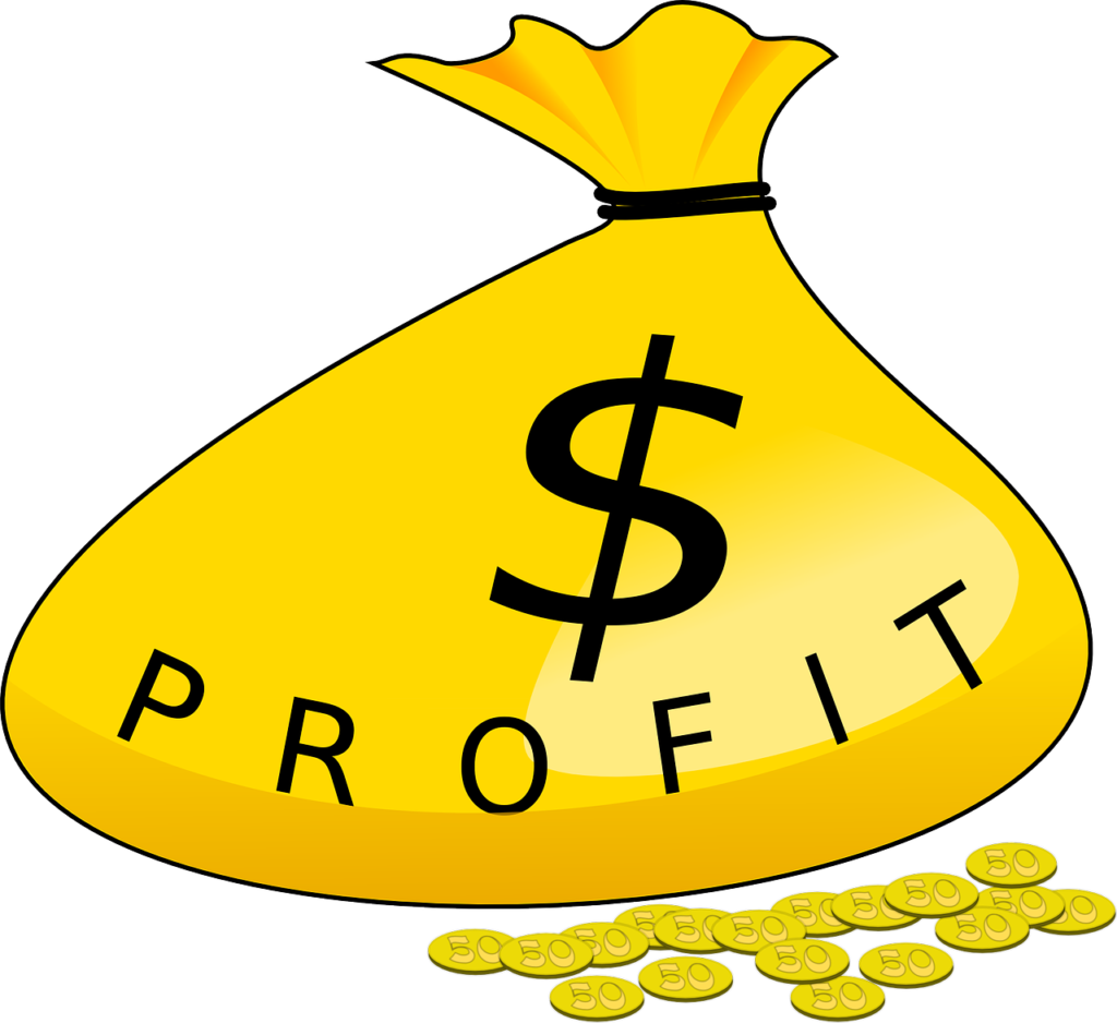 What is the Most Profitable Blog Niche?